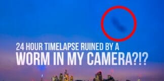 Did a worm ruin my 24 hour timelapse?